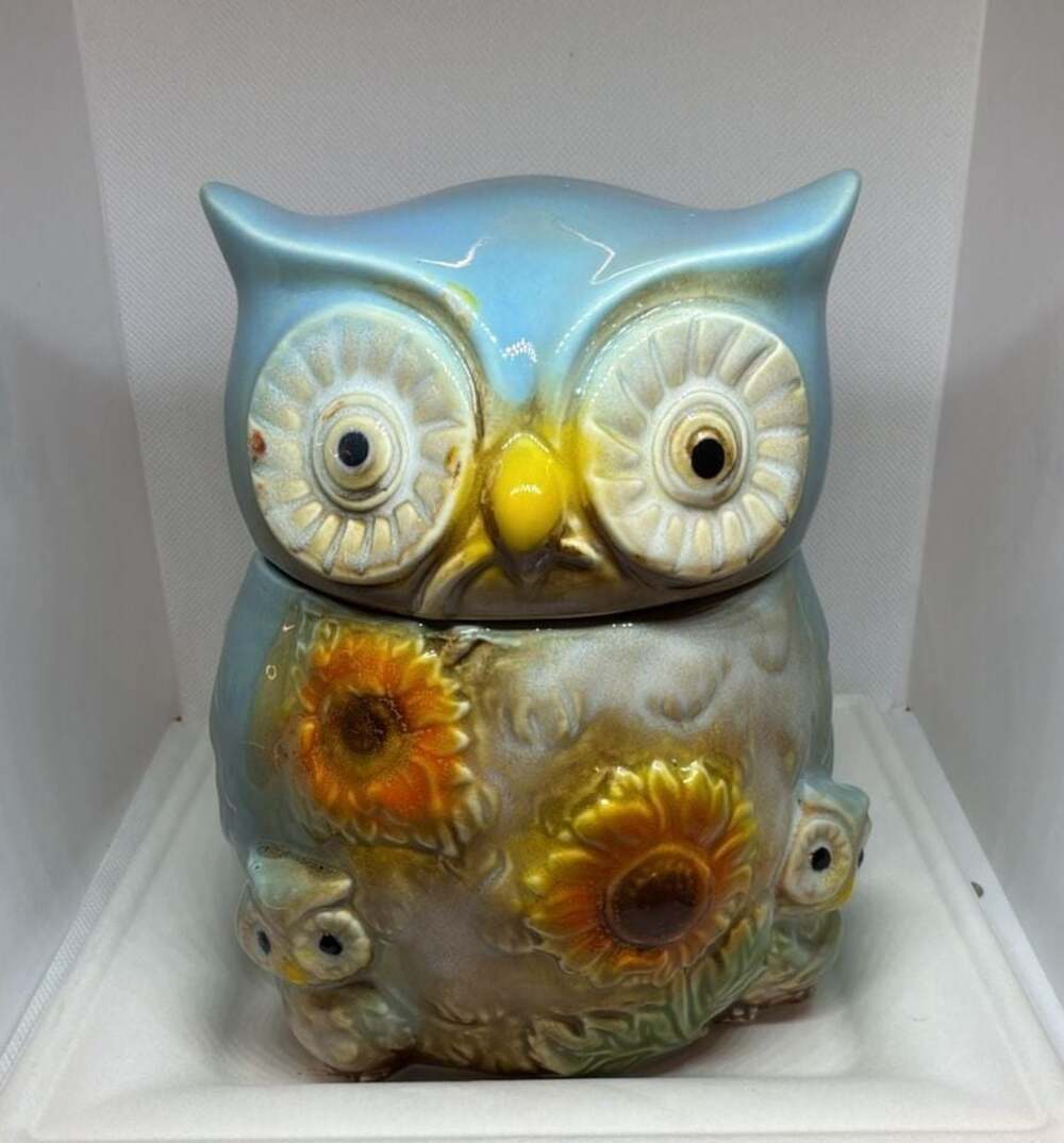 RETRO-6.5"H Owl Canister with Lid And Flowers & Babies At Her Feet.